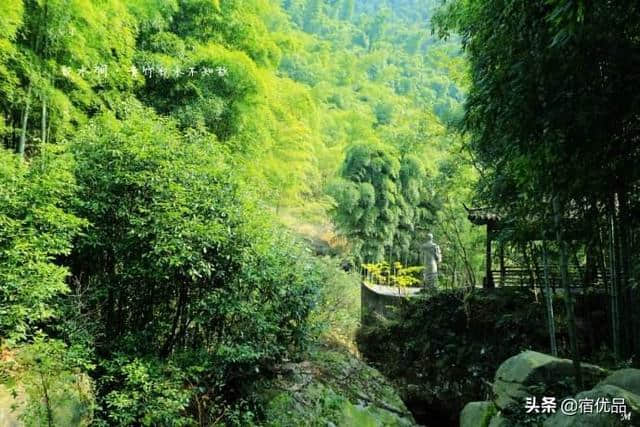 临安农家乐三日游，白水涧梦里的香格里拉