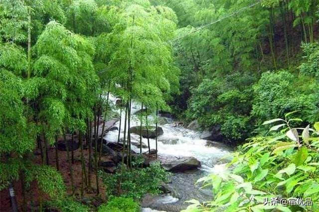 临安农家乐三日游，白水涧梦里的香格里拉