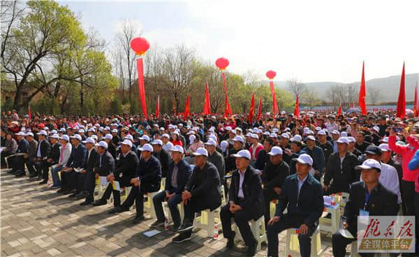 2019中国·庆阳第二届油菜花乡村旅游文化节开幕