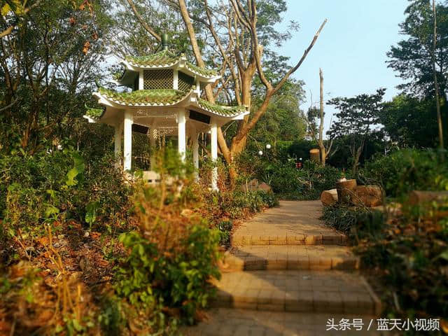 十一假期第二天，深圳莲花山公园景区游客真多