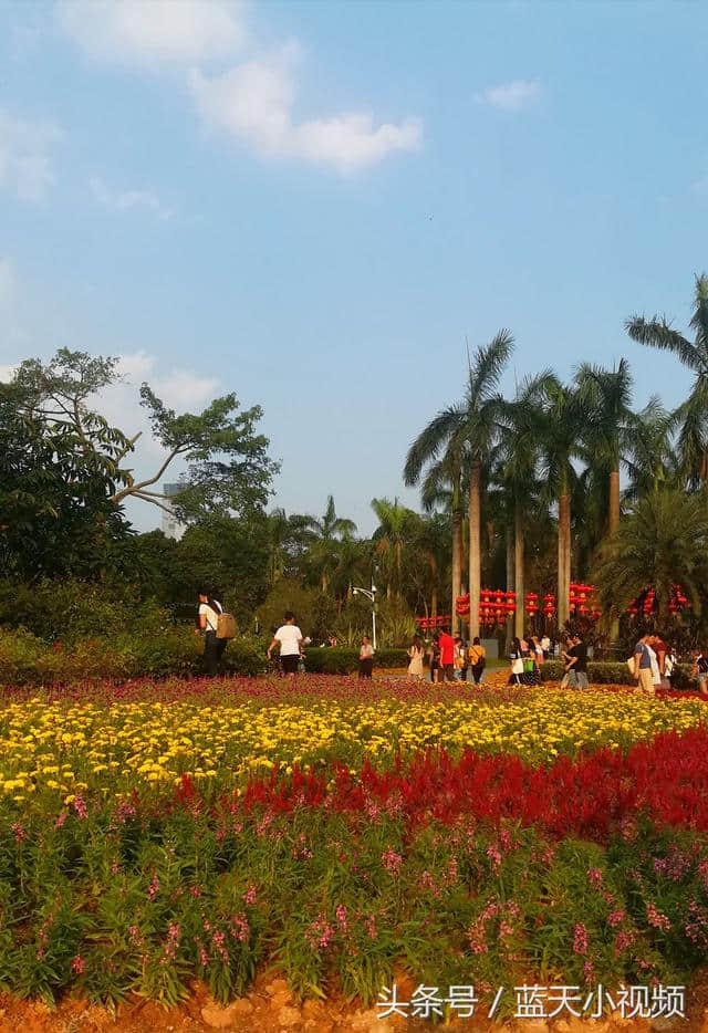 十一假期第二天，深圳莲花山公园景区游客真多