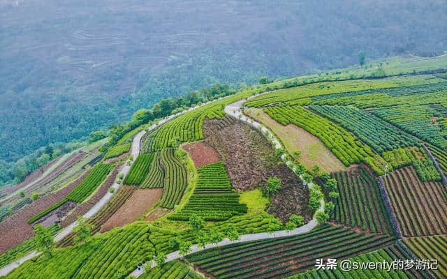 避开人山人海，五一小众旅行地推荐，我在茶乡等你