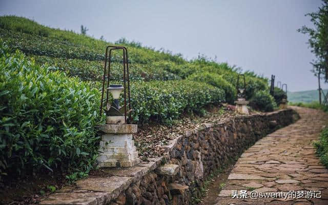 避开人山人海，五一小众旅行地推荐，我在茶乡等你