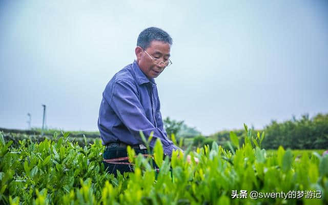 避开人山人海，五一小众旅行地推荐，我在茶乡等你