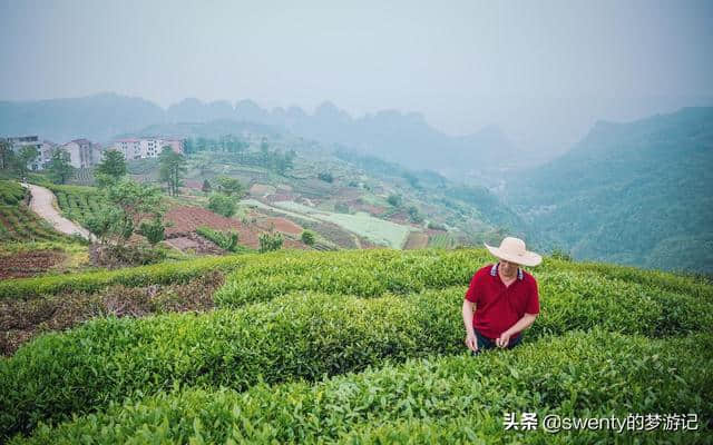 避开人山人海，五一小众旅行地推荐，我在茶乡等你