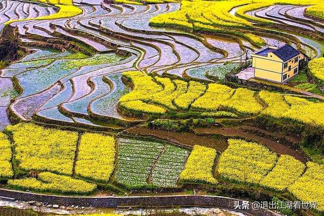 春游攻略｜隐藏在秦巴山区的这片古梯田，如诗如画让人醉！