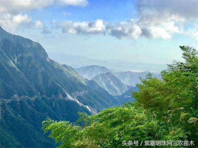 浙江农家院旅游｜安吉巅峰苑休闲山庄可以看到银河带和漫天的星空