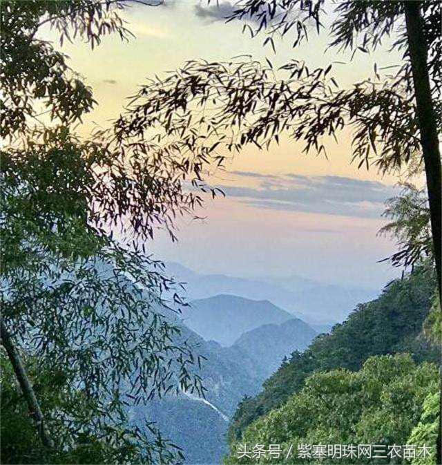 浙江农家院旅游｜安吉巅峰苑休闲山庄可以看到银河带和漫天的星空