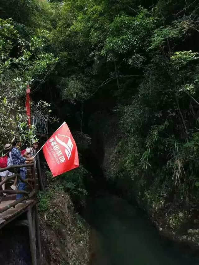 湛江这一群人去高州仙人洞游玩，拥抱大自然