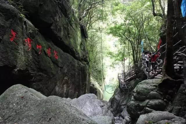 湛江这一群人去高州仙人洞游玩，拥抱大自然