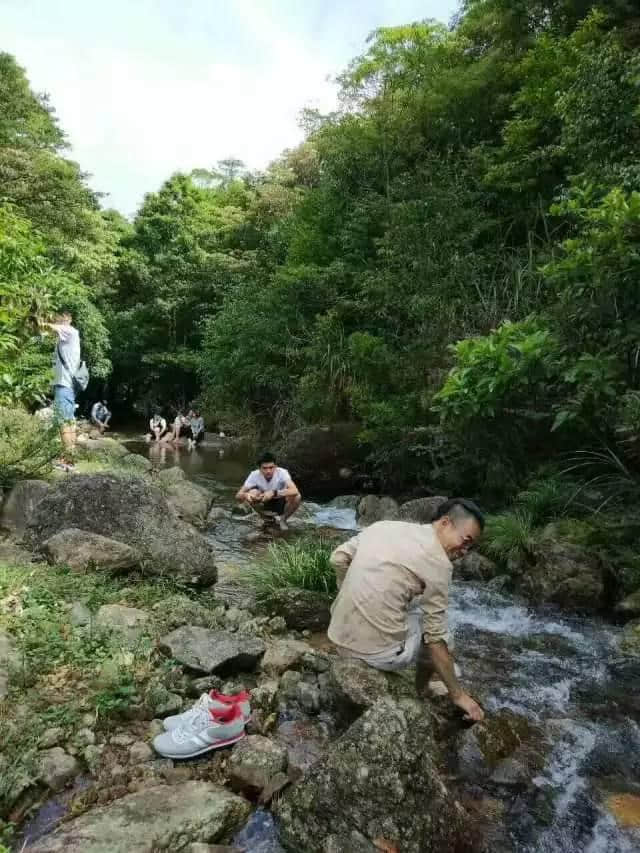 湛江这一群人去高州仙人洞游玩，拥抱大自然