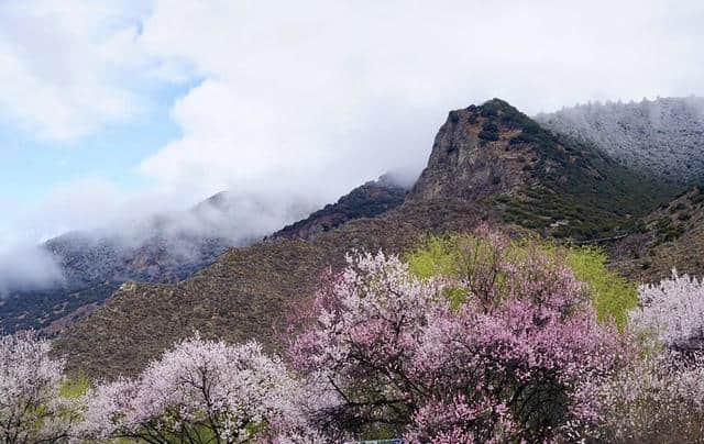 西藏林芝桃花节攻略：出行方式多种多样，一起出发吧