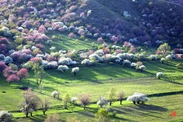 最美人间四月天，这才是清明节最值得去旅行的地方