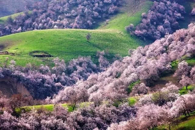 最美人间四月天，这才是清明节最值得去旅行的地方