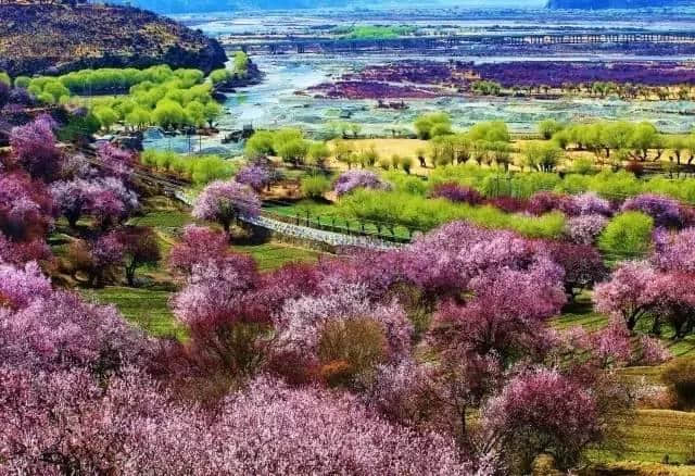 最美人间四月天，这才是清明节最值得去旅行的地方