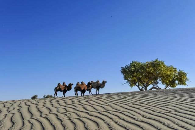 夏季最适合情侣去的旅行地，你去过几个？