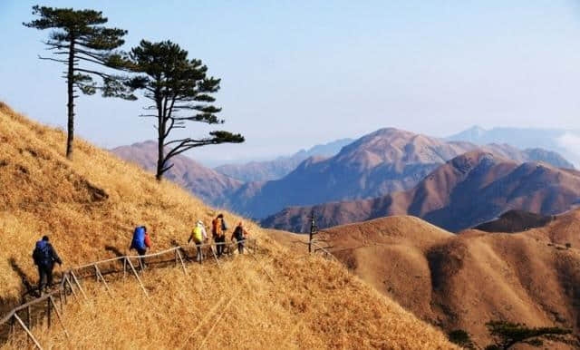 广州驴友攻略-天上草原 人间武功山