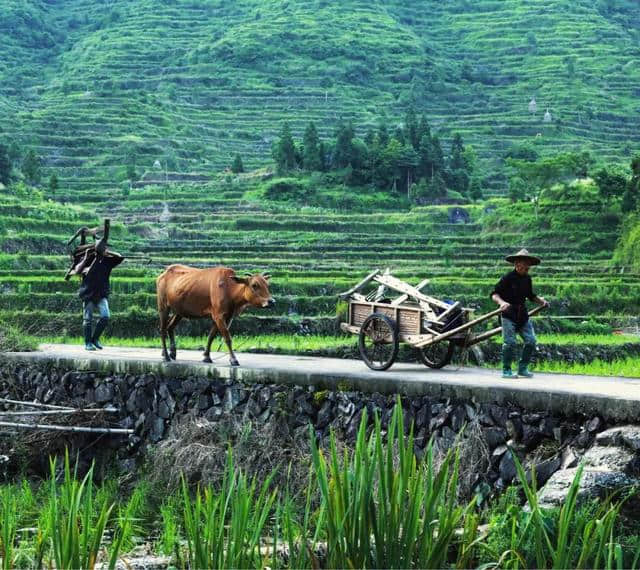 汪涵都推荐的适合一个人去的10个小众旅行地，五一出发~