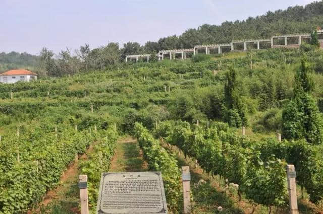 工业邂逅旅游，不一样的风景 不一样的体验！