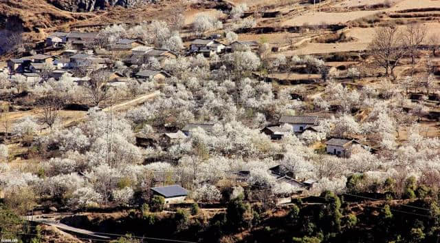 魅力西昌丨走进安哈彝寨，体验最真实的乡村旅游！