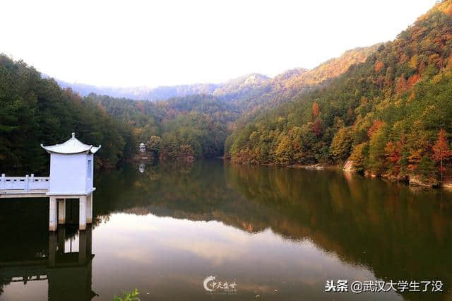 推荐！武汉周边一日游路线，赏景探险两不误，好玩还不累！