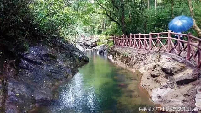 号外，号外，号外，五指山冰夏5℃·泰国风情泼水节最后一周