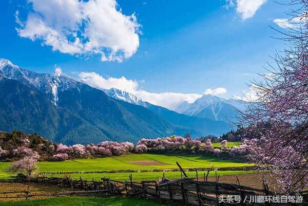 西藏景点门票汇总（林芝）