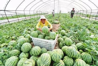 连云港全年旅游时间表出炉，全部都美哭了！