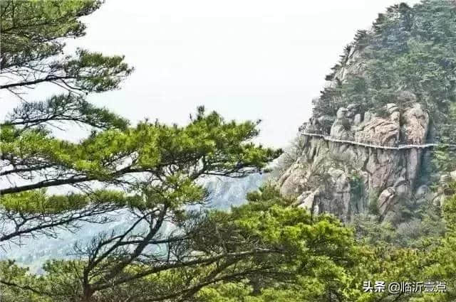 穿汉服免门票！清明出行好去处，赏花踏青游蒙山！