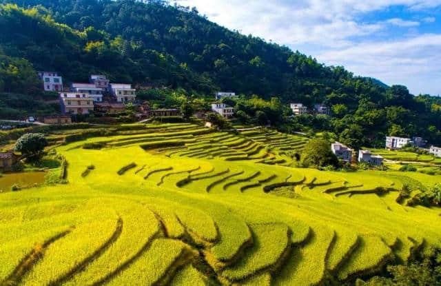 这几个隐藏在茂名高州东北部的生态旅游景点