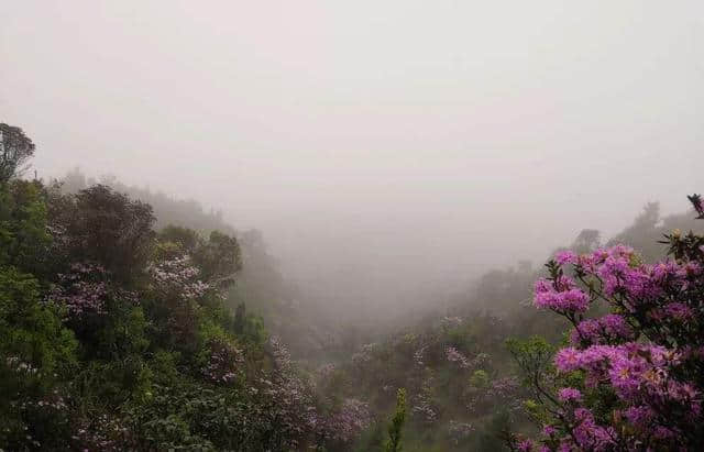 这几个隐藏在茂名高州东北部的生态旅游景点