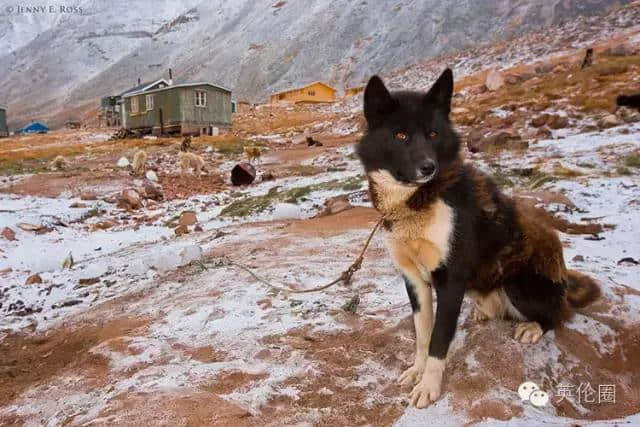 冰雪绝美的格陵兰岛，最容易被忽略的旅游目的地之一