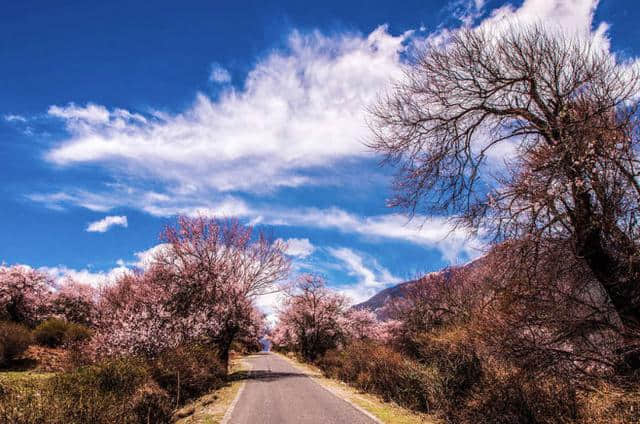 2019西藏旅游3月份去林芝看桃花行程推荐（含3、4、5天）