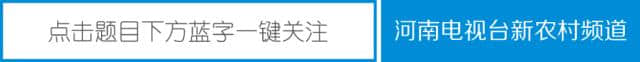 九曲黄河万里沙，想玩沙来这里丨“孤柏渡·经典游”获奖作品展播（14）