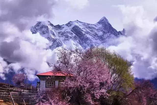 西藏林芝，桃花之外，还有这么大牌景点