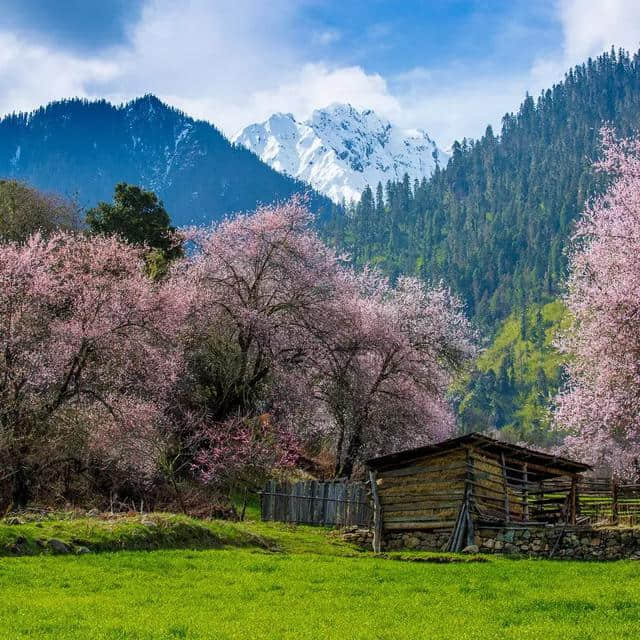 西藏林芝，桃花之外，还有这么大牌景点