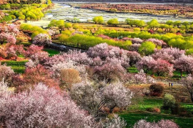 西藏林芝，桃花之外，还有这么大牌景点