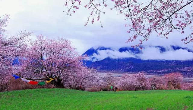 西藏林芝，桃花之外，还有这么大牌景点