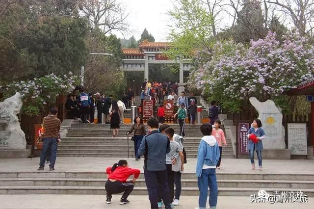 清明假期青州旅游市场火爆 文旅融合成新亮点