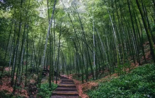 溧阳，不输给苏杭美景