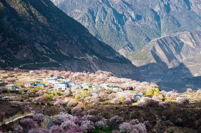 西藏有毒，不去治不好，西藏旅游如何选择适合自己的路线？