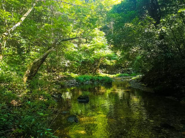 安徽最冷门的景点，门票40元景色不输5A景区，位于黄山却少有人知