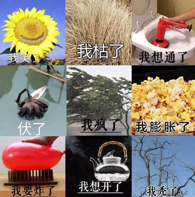 2019，温暖为你而来！