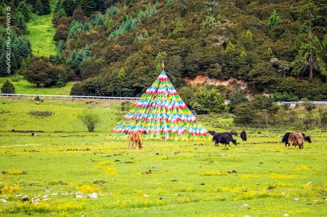 最美藏区小江南：西藏林芝旅行攻略