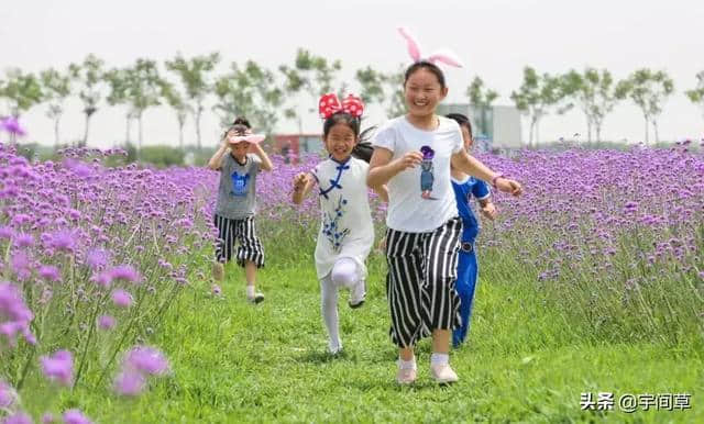 六月祥和庄园花海游玩及购票攻略