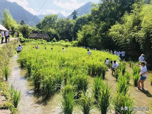 想在黄田与你度过最浪漫的夏天