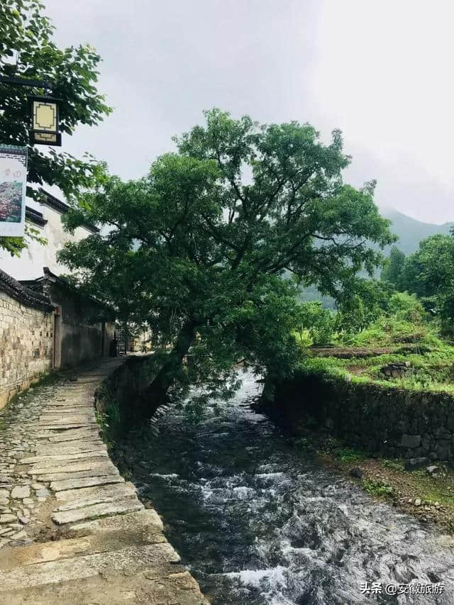 想在黄田与你度过最浪漫的夏天