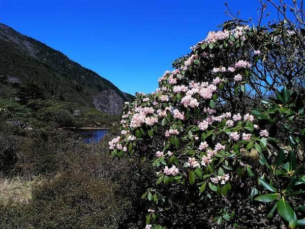 凉山旅游｜喜德县这些山你都认识吗？