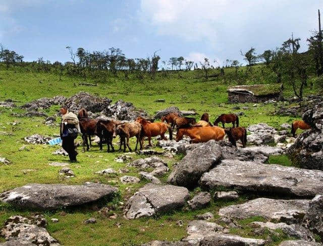 凉山旅游｜喜德县这些山你都认识吗？