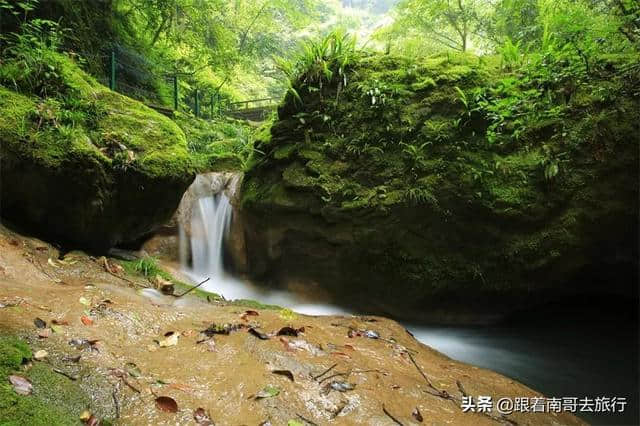 一起去安康看最美梯田、逛山水古城、探巴山秘境、品紫阳富硒茶吧